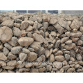 Boîtier gabion galvanisé à chaud et pvc